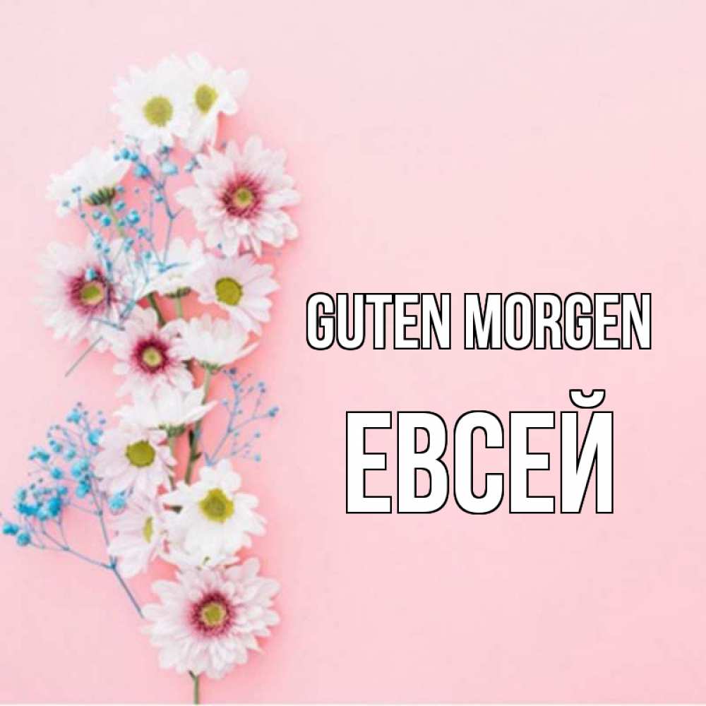 Открытка на каждый день с именем, Евсей Guten Morgen цветы с подписью Прикольная открытка с пожеланием онлайн скачать бесплатно 