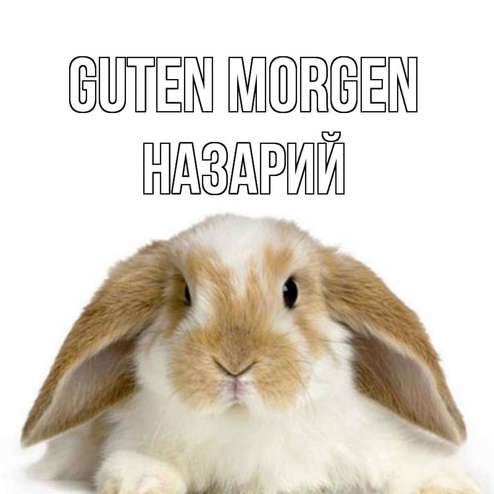 Открытка на каждый день с именем, Назарий Guten Morgen прикольные открытки на каждый день Прикольная открытка с пожеланием онлайн скачать бесплатно 