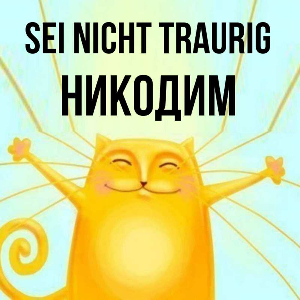Открытка на каждый день с именем, Никодим Sei nicht traurig обнимашки усатые Прикольная открытка с пожеланием онлайн скачать бесплатно 