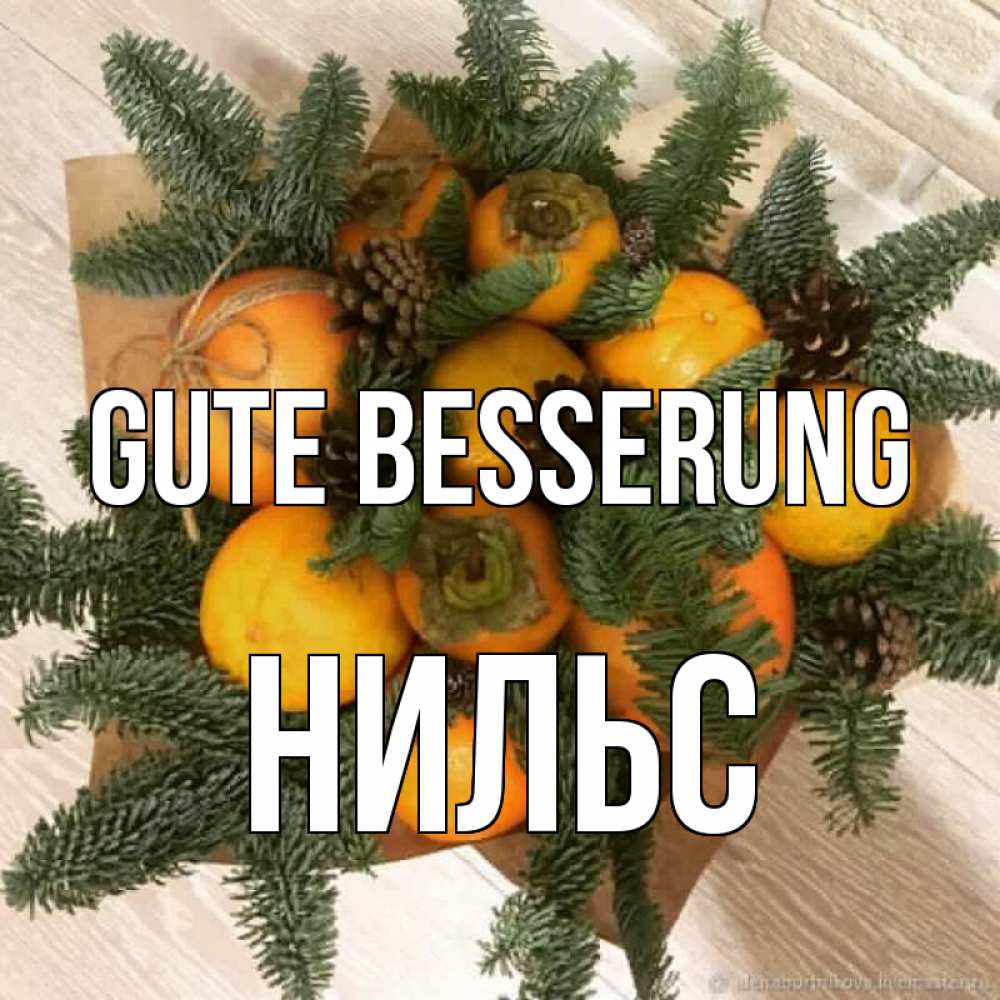 Открытка на каждый день с именем, Нильс Gute Besserung апельсины и хурьма Прикольная открытка с пожеланием онлайн скачать бесплатно 