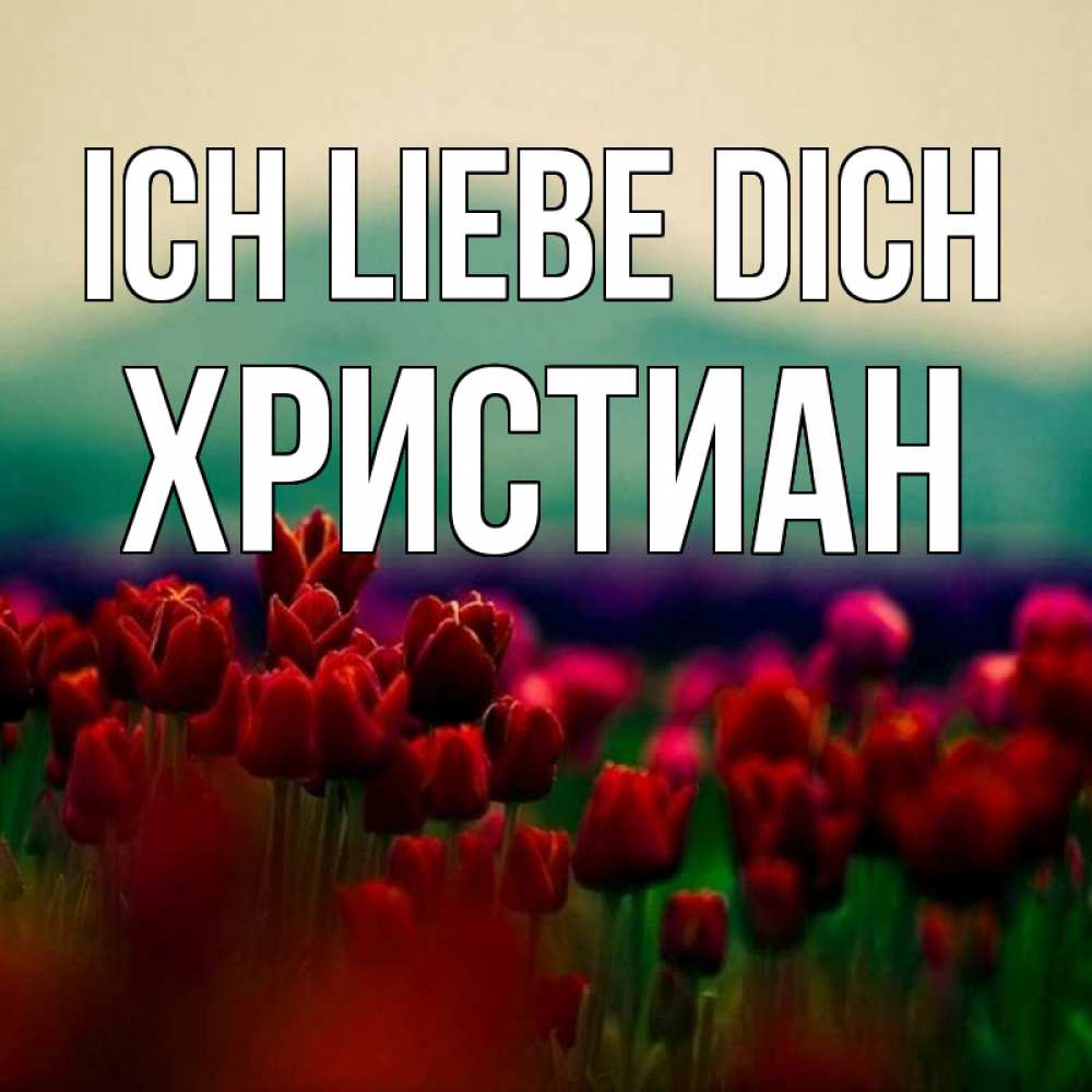 Открытка на каждый день с именем, Христиан Ich liebe dich тюльпаны 4 Прикольная открытка с пожеланием онлайн скачать бесплатно 