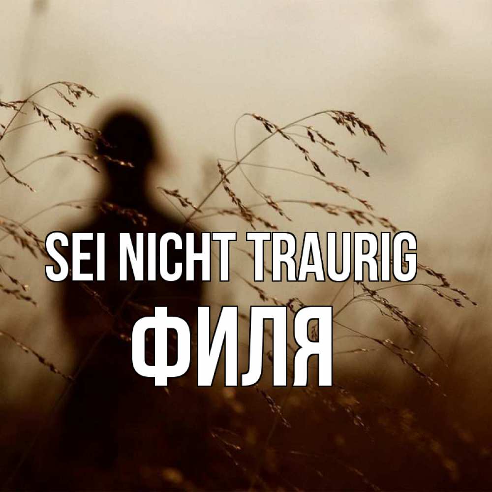 Открытка на каждый день с именем, Филя Sei nicht traurig грусть Прикольная открытка с пожеланием онлайн скачать бесплатно 