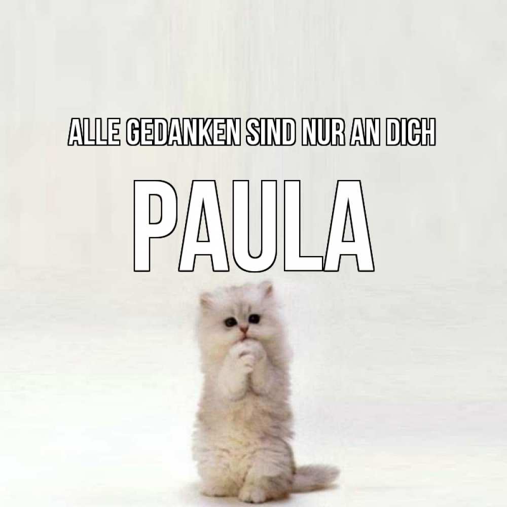 Открытка на каждый день с именем, Paula Alle Gedanken sind nur an dich кот стоит на задних лапах Прикольная открытка с пожеланием онлайн скачать бесплатно 