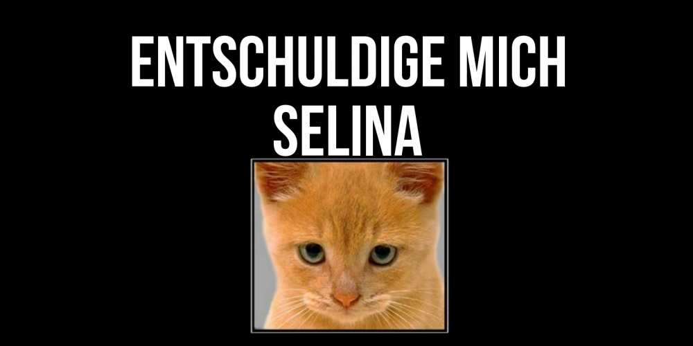 Открытка на каждый день с именем, Selina Entschuldige mich рыжий грустный кот просит прощения Прикольная открытка с пожеланием онлайн скачать бесплатно 