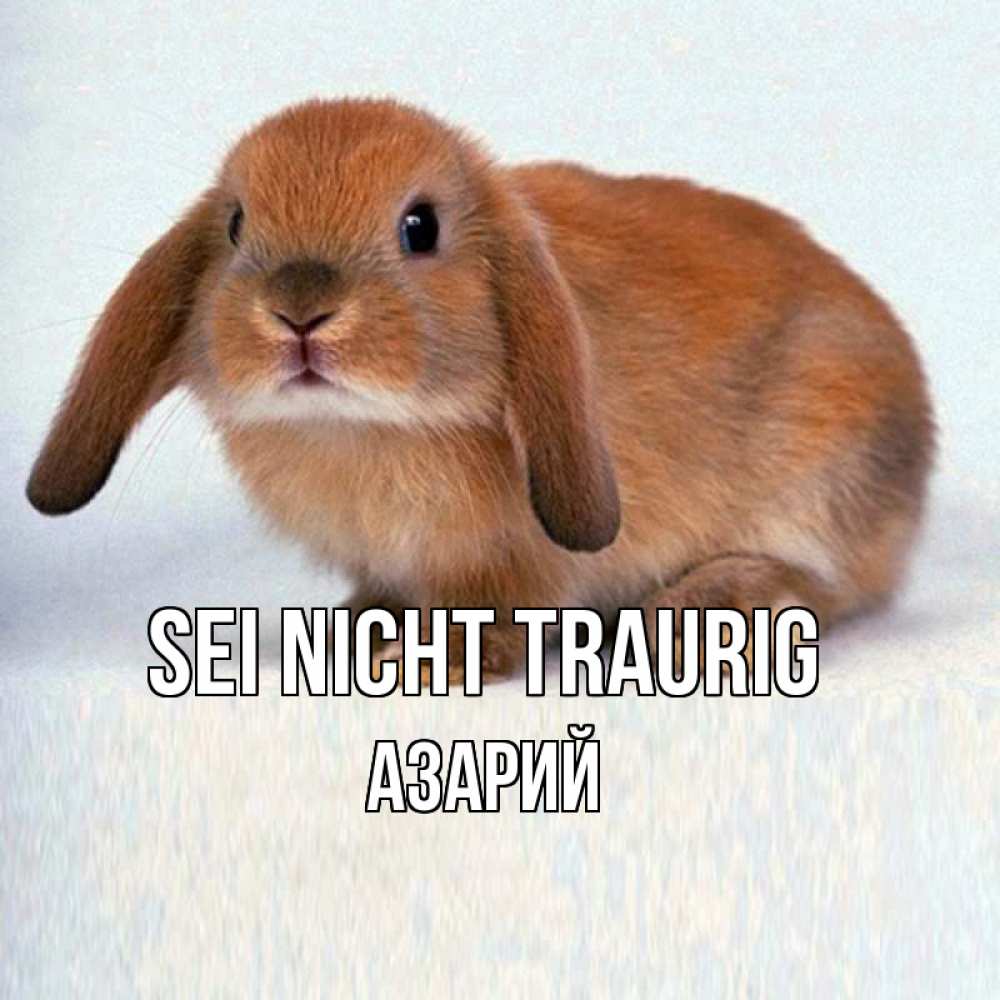 Открытка на каждый день с именем, Азарий Sei nicht traurig вислоухий рыжий кролик Прикольная открытка с пожеланием онлайн скачать бесплатно 