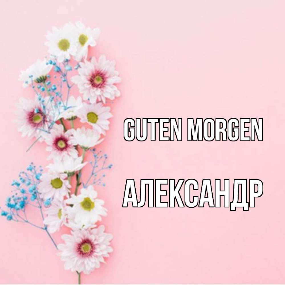 Открытка на каждый день с именем, Александр Guten Morgen цветы с подписью Прикольная открытка с пожеланием онлайн скачать бесплатно 