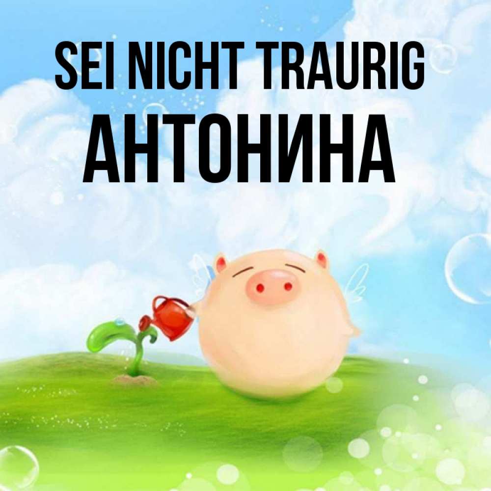 Открытка на каждый день с именем, Антонина Sei nicht traurig поливает цветок порося Прикольная открытка с пожеланием онлайн скачать бесплатно 