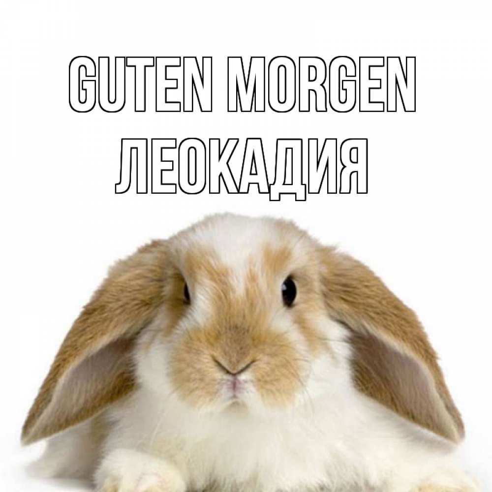 Открытка на каждый день с именем, Леокадия Guten Morgen прикольные открытки на каждый день Прикольная открытка с пожеланием онлайн скачать бесплатно 