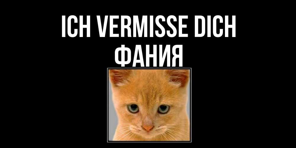 Открытка на каждый день с именем, Фания Ich vermisse dich открытки рыжий котенок скучает по тебе Прикольная открытка с пожеланием онлайн скачать бесплатно 