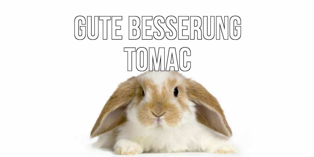 Открытка на каждый день с именем, Томас Gute Besserung вислоухий кролик белого и коричневого цвета Прикольная открытка с пожеланием онлайн скачать бесплатно 