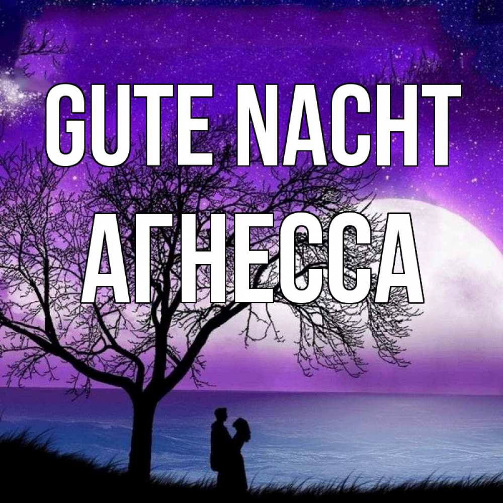 Открытка на каждый день с именем, Агнесса Gute Nacht огромная луна и парочка Прикольная открытка с пожеланием онлайн скачать бесплатно 