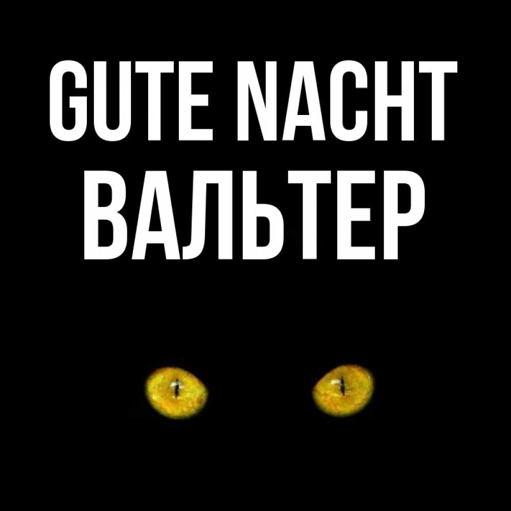 Открытка на каждый день с именем, Вальтер Gute Nacht сладких снов бесстрашный мой дружочек Прикольная открытка с пожеланием онлайн скачать бесплатно 
