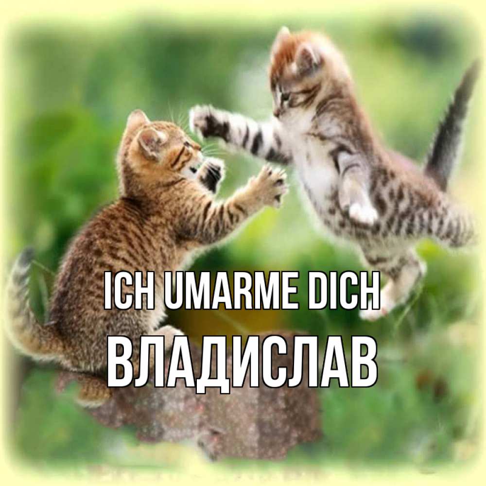 Открытка на каждый день с именем, Владислав Ich umarme dich игры котят Прикольная открытка с пожеланием онлайн скачать бесплатно 