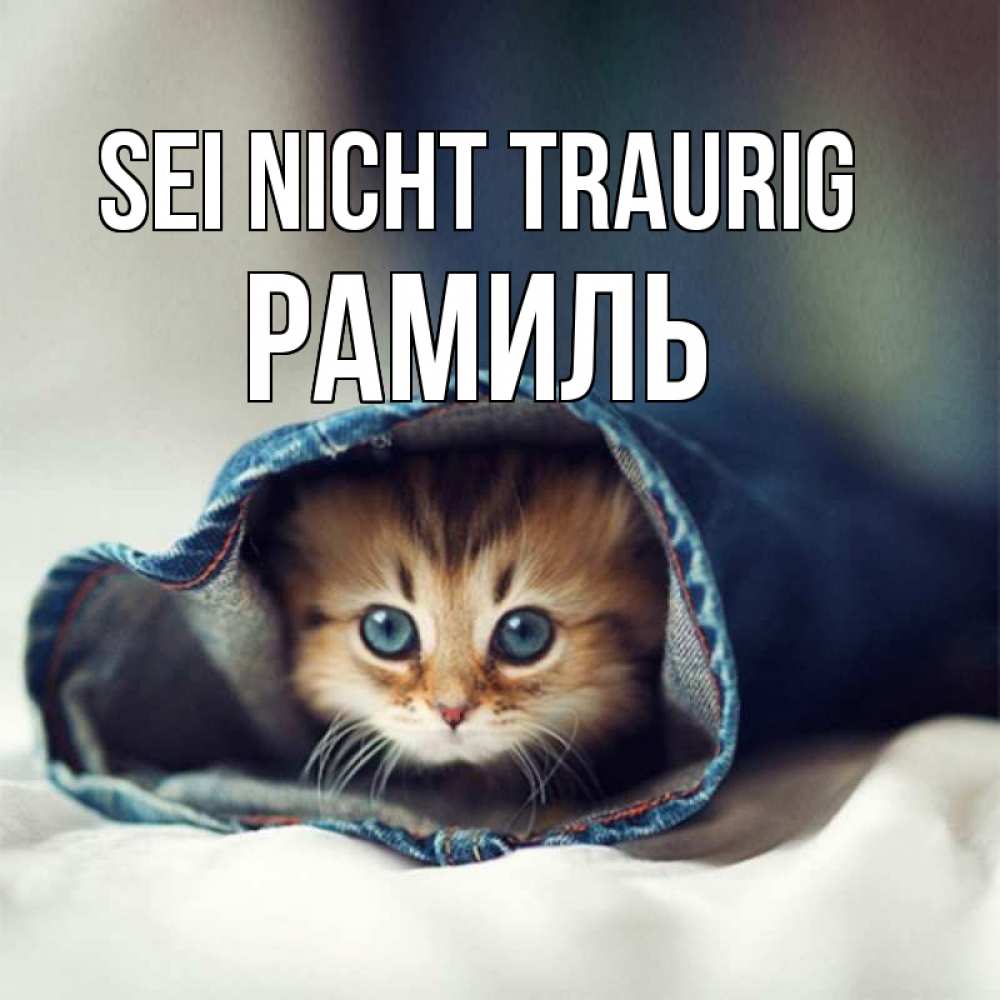 Открытка на каждый день с именем, Рамиль Sei nicht traurig рыжик котик Прикольная открытка с пожеланием онлайн скачать бесплатно 