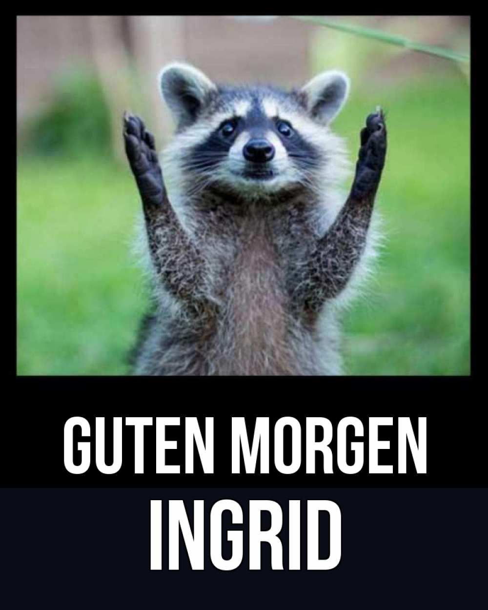 Открытка на каждый день с именем, Ingrid Guten Morgen хорошее настроение утречком Прикольная открытка с пожеланием онлайн скачать бесплатно 