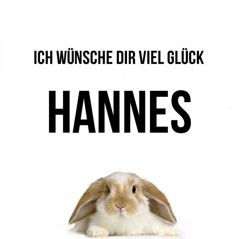 Открытка на каждый день с именем, Hannes Ich wünsche dir viel Glück открытки с произвольным текстом который можно вставить в открытку и создать ее самостоятельно бесплатно онлайн Прикольная открытка с пожеланием онлайн скачать бесплатно 