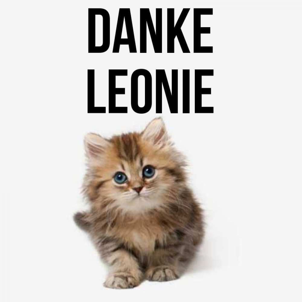 Открытка на каждый день с именем, Leonie Danke пушистый котик Прикольная открытка с пожеланием онлайн скачать бесплатно 