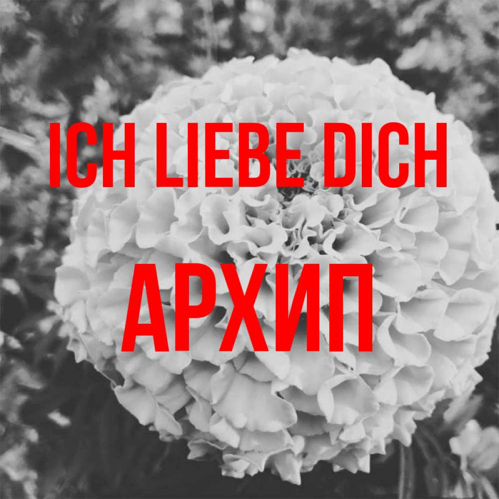 Открытка на каждый день с именем, Архип Ich liebe dich подпись Прикольная открытка с пожеланием онлайн скачать бесплатно 