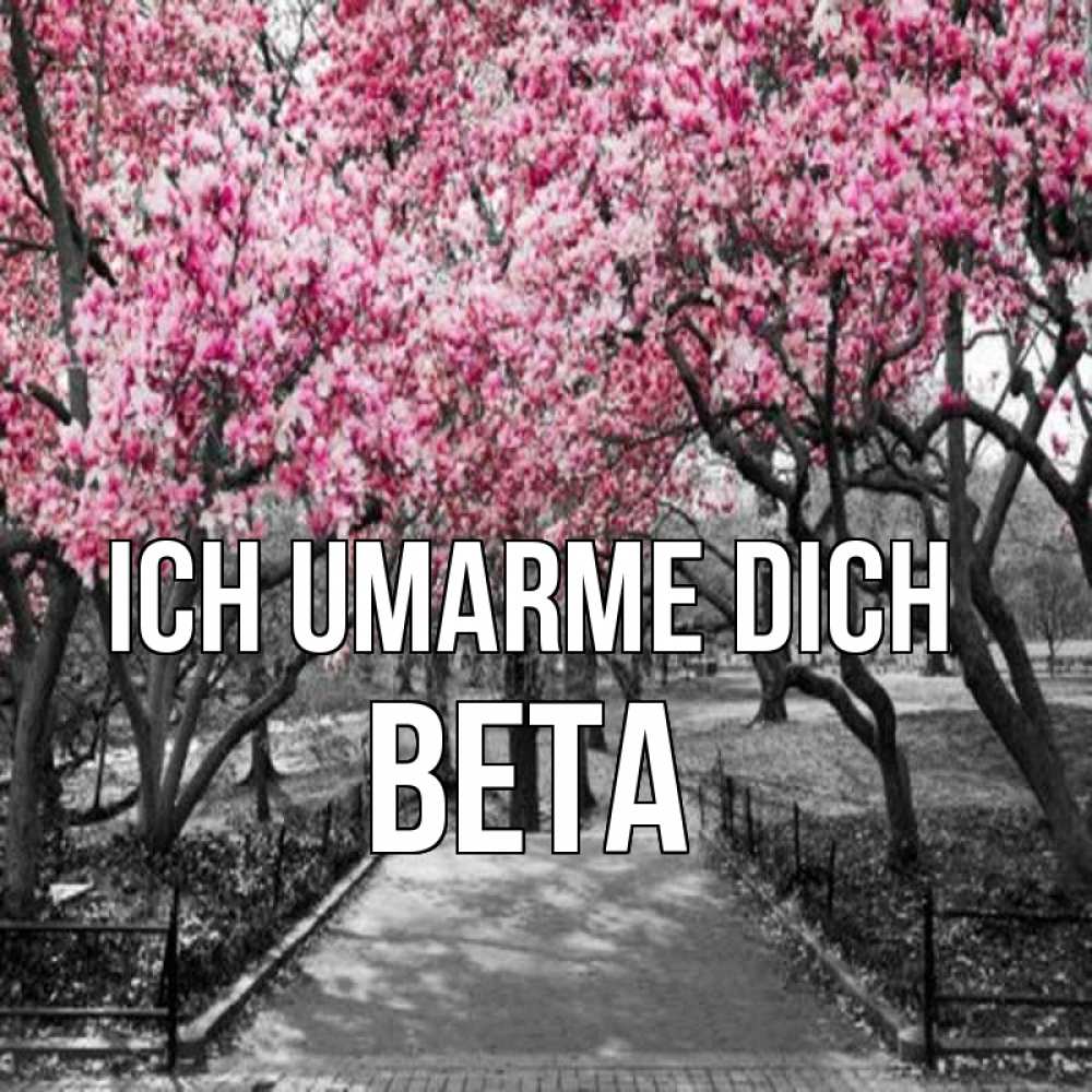 Открытка на каждый день с именем, Вета Ich umarme dich обработанное фото Прикольная открытка с пожеланием онлайн скачать бесплатно 
