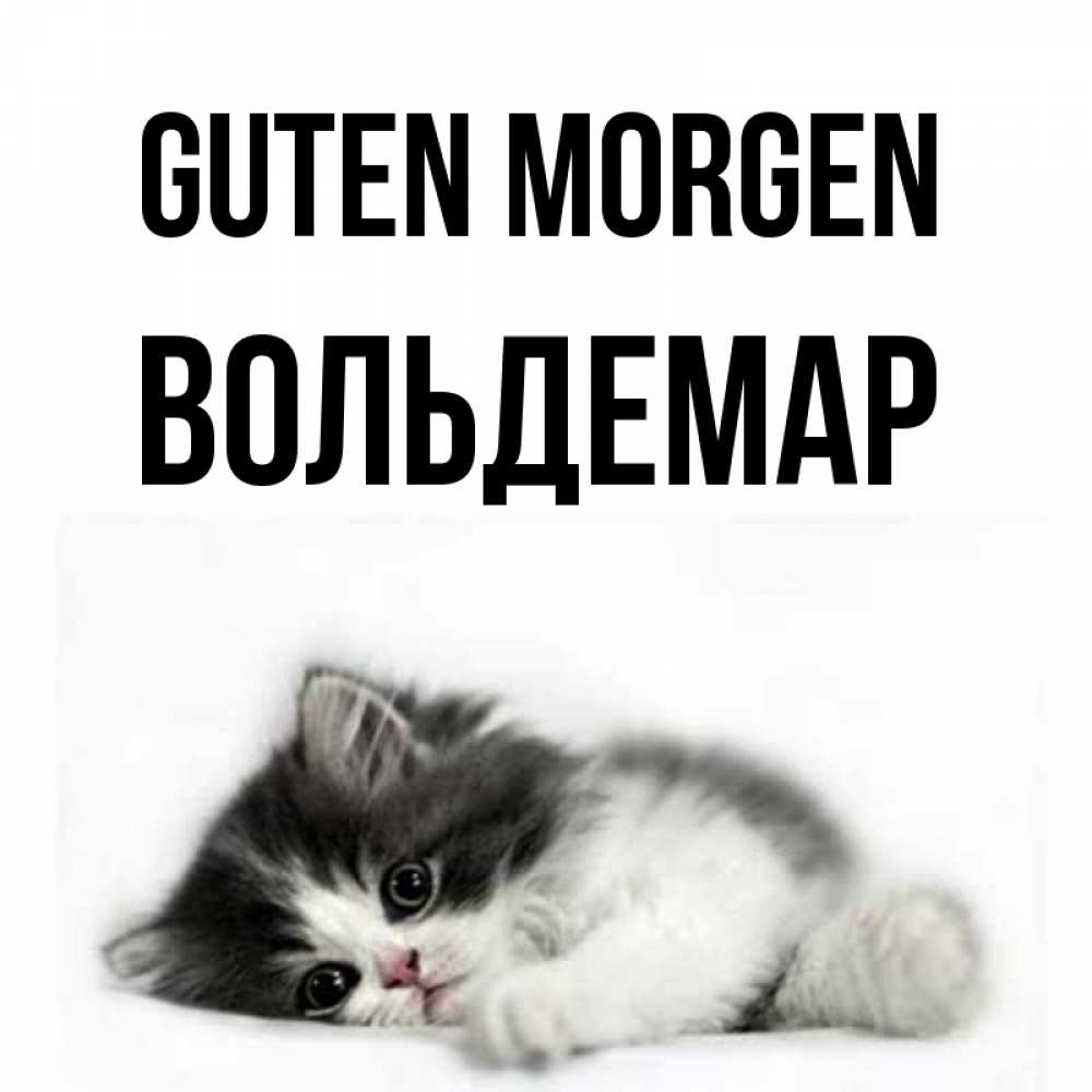 Открытка на каждый день с именем, Вольдемар Guten Morgen кот лапки Прикольная открытка с пожеланием онлайн скачать бесплатно 