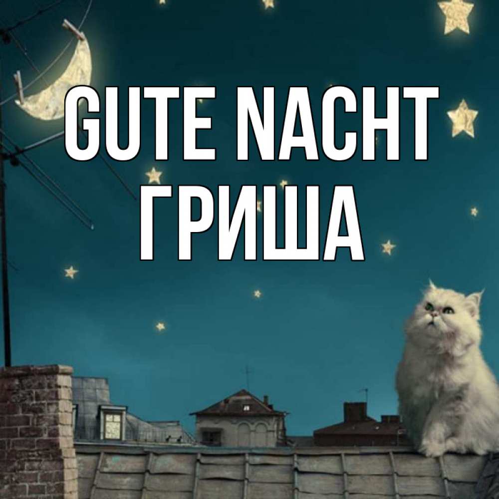 Открытка на каждый день с именем, Гриша Gute Nacht белый кот сидит на крыше Прикольная открытка с пожеланием онлайн скачать бесплатно 