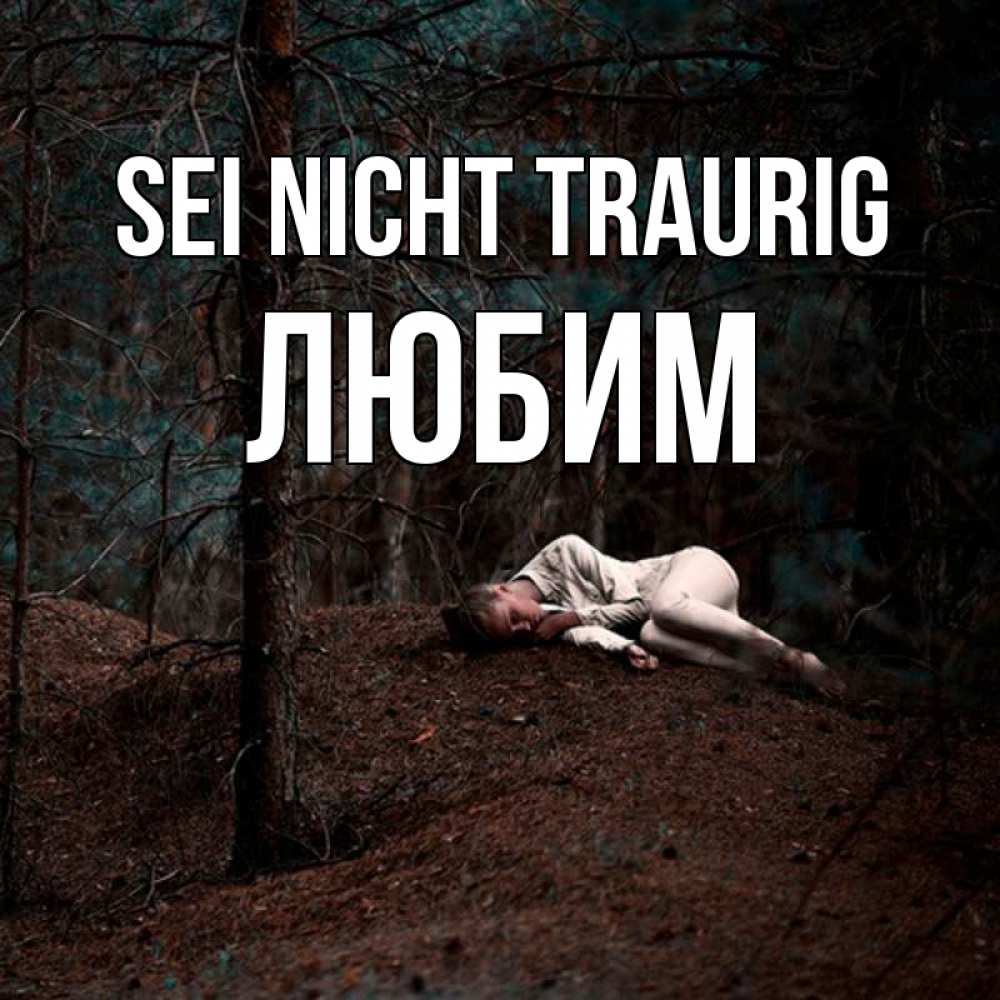 Открытка на каждый день с именем, Любим Sei nicht traurig лес Прикольная открытка с пожеланием онлайн скачать бесплатно 