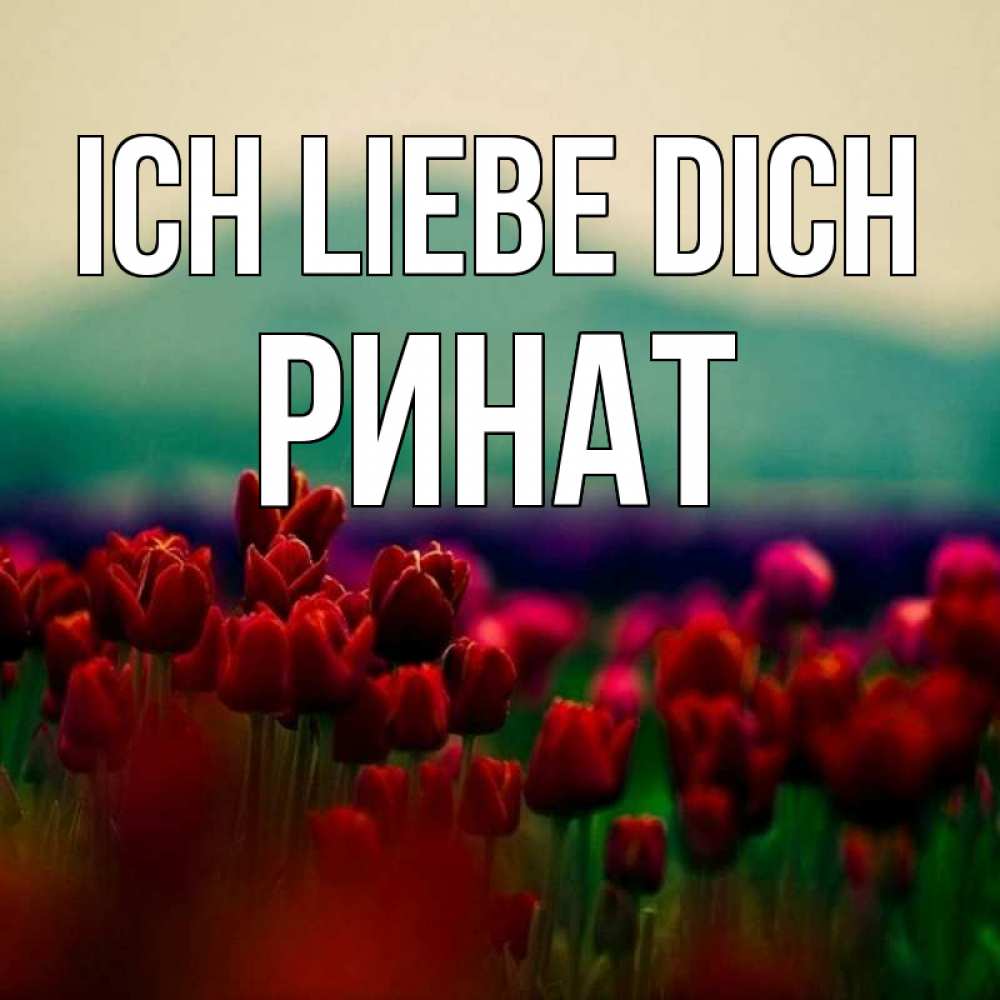Открытка на каждый день с именем, Ринат Ich liebe dich тюльпаны 4 Прикольная открытка с пожеланием онлайн скачать бесплатно 