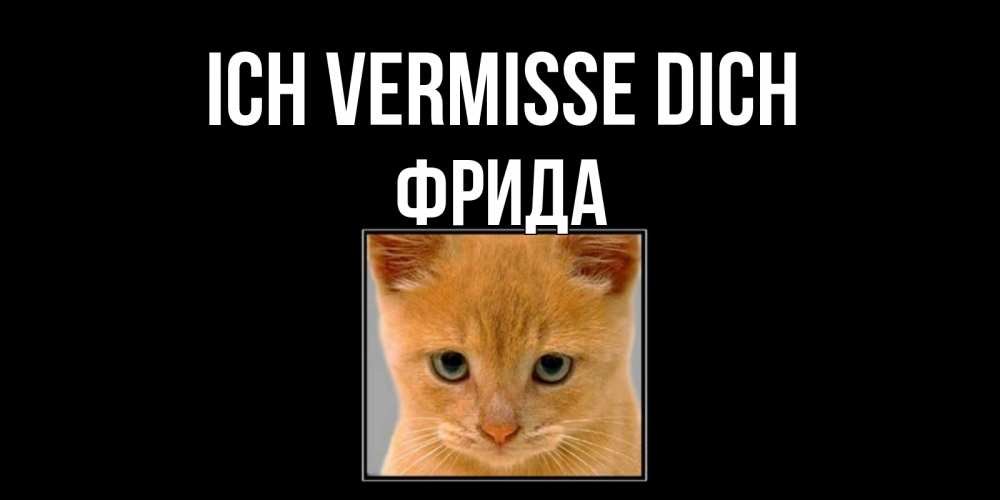 Открытка на каждый день с именем, Фрида Ich vermisse dich открытки рыжий котенок скучает по тебе Прикольная открытка с пожеланием онлайн скачать бесплатно 