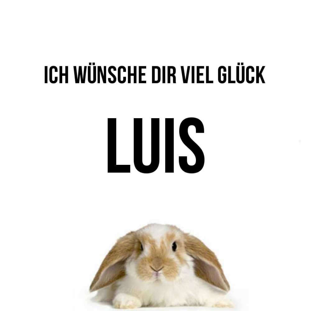 Открытка на каждый день с именем, Luis Ich wünsche dir viel Glück открытки с произвольным текстом который можно вставить в открытку и создать ее самостоятельно бесплатно онлайн Прикольная открытка с пожеланием онлайн скачать бесплатно 