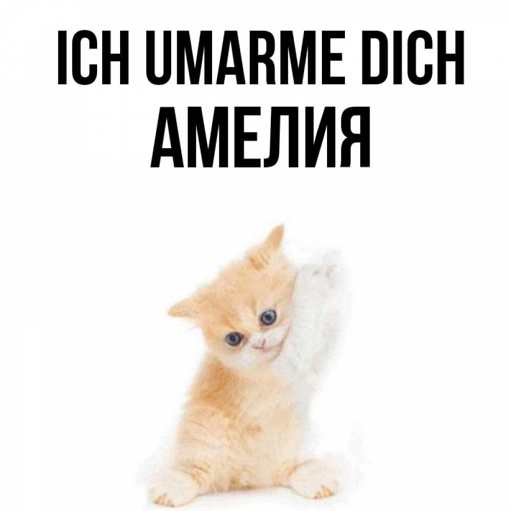 Открытка на каждый день с именем, Амелия Ich umarme dich я хочу очень скорее обнимаешек Прикольная открытка с пожеланием онлайн скачать бесплатно 