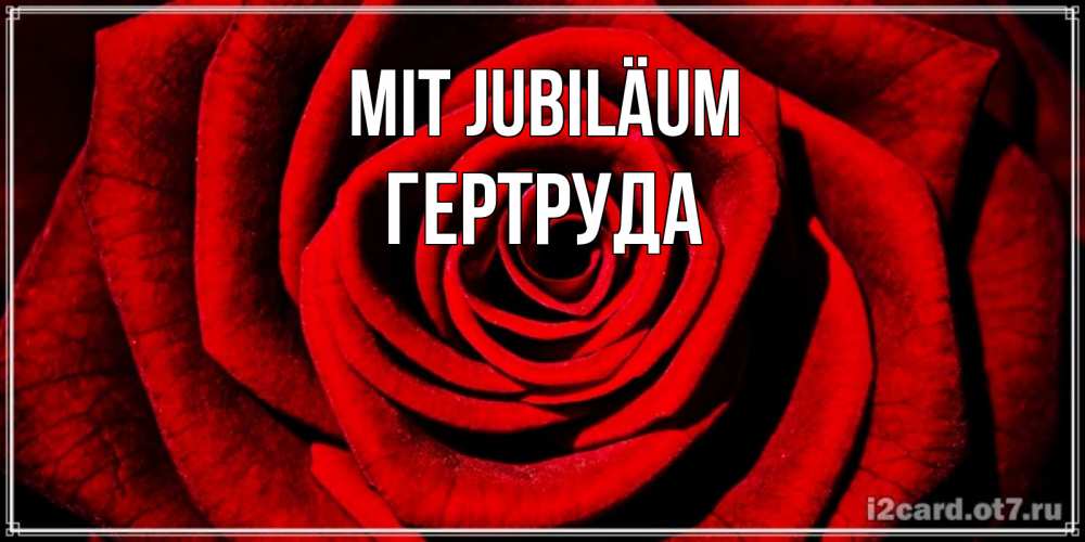 Открытка на каждый день с именем, Гертруда Mit Jubiläum алая роза Прикольная открытка с пожеланием онлайн скачать бесплатно 
