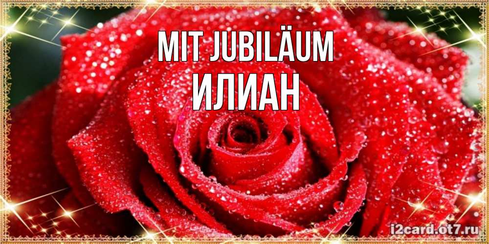 Открытка на каждый день с именем, Илиан Mit Jubiläum роса и роза. открытка с красивой розой Прикольная открытка с пожеланием онлайн скачать бесплатно 