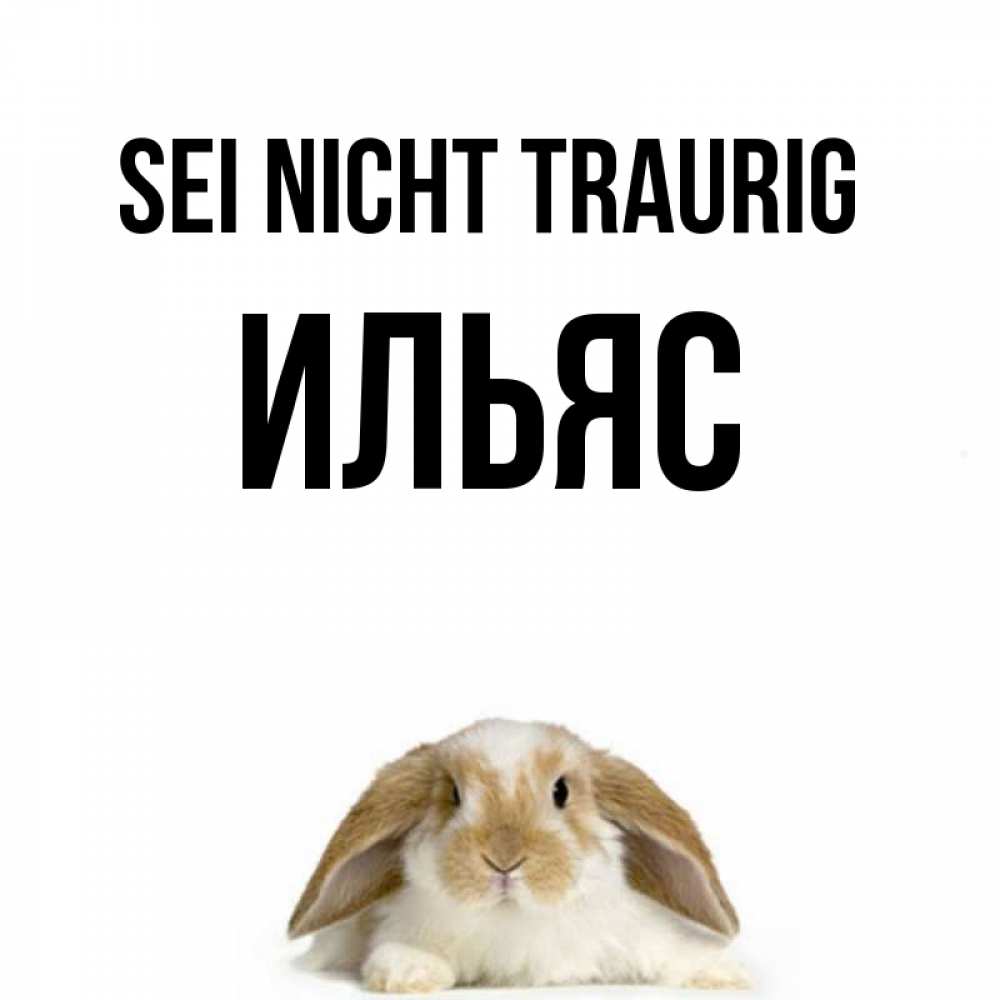 Открытка на каждый день с именем, Ильяс Sei nicht traurig коричнево белый заяц с большими ушками Прикольная открытка с пожеланием онлайн скачать бесплатно 