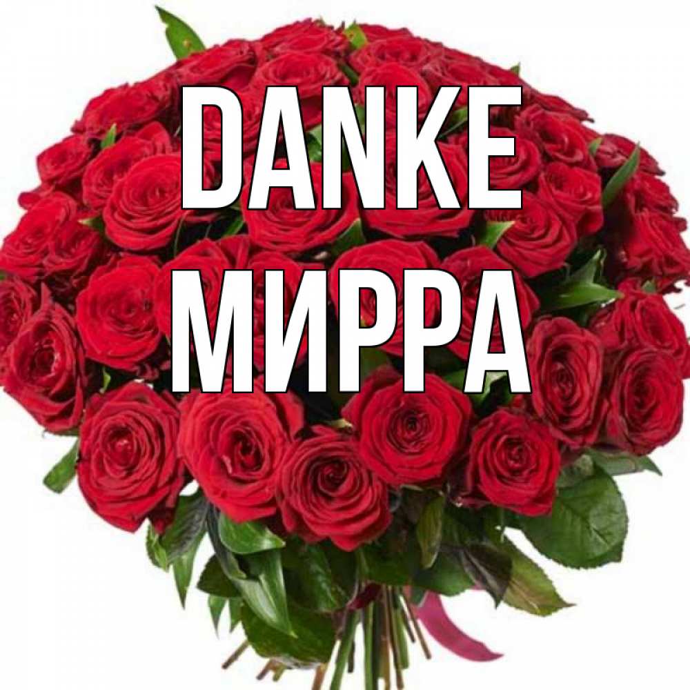 Открытка на каждый день с именем, Мирра Danke букет красных роз Прикольная открытка с пожеланием онлайн скачать бесплатно 