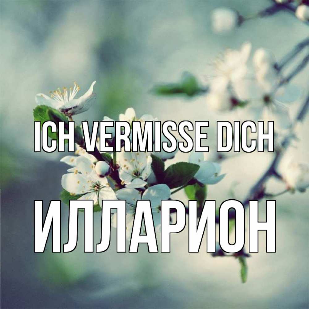 Открытка на каждый день с именем, Илларион Ich vermisse dich весна Прикольная открытка с пожеланием онлайн скачать бесплатно 
