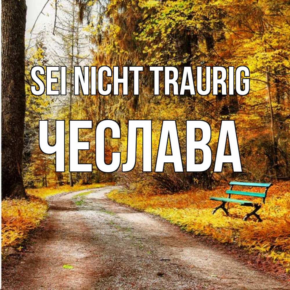 Открытка на каждый день с именем, Чеслава Sei nicht traurig зеленая лавочка Прикольная открытка с пожеланием онлайн скачать бесплатно 