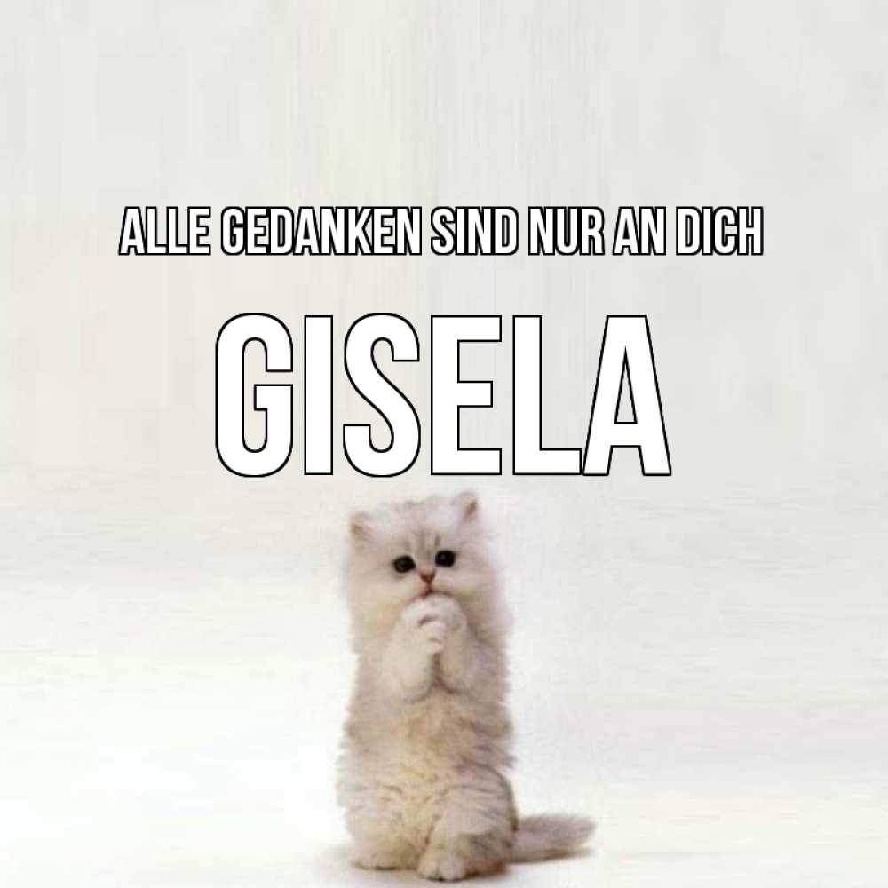 Открытка на каждый день с именем, Gisela Alle Gedanken sind nur an dich кот стоит на задних лапах Прикольная открытка с пожеланием онлайн скачать бесплатно 