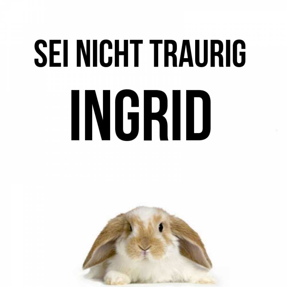 Открытка на каждый день с именем, Ingrid Sei nicht traurig коричнево белый заяц с большими ушками Прикольная открытка с пожеланием онлайн скачать бесплатно 