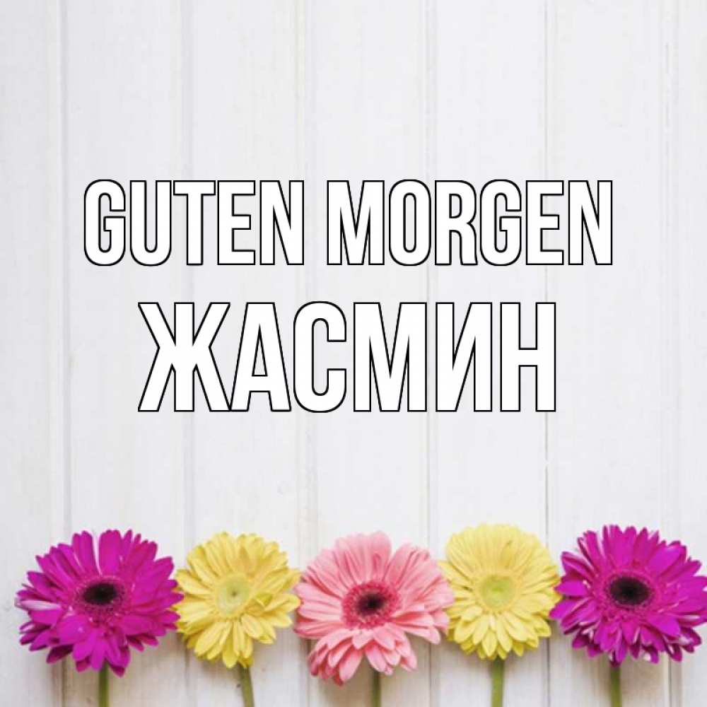 Открытка на каждый день с именем, Жасмин Guten Morgen красный желтый и розовый цветок Прикольная открытка с пожеланием онлайн скачать бесплатно 
