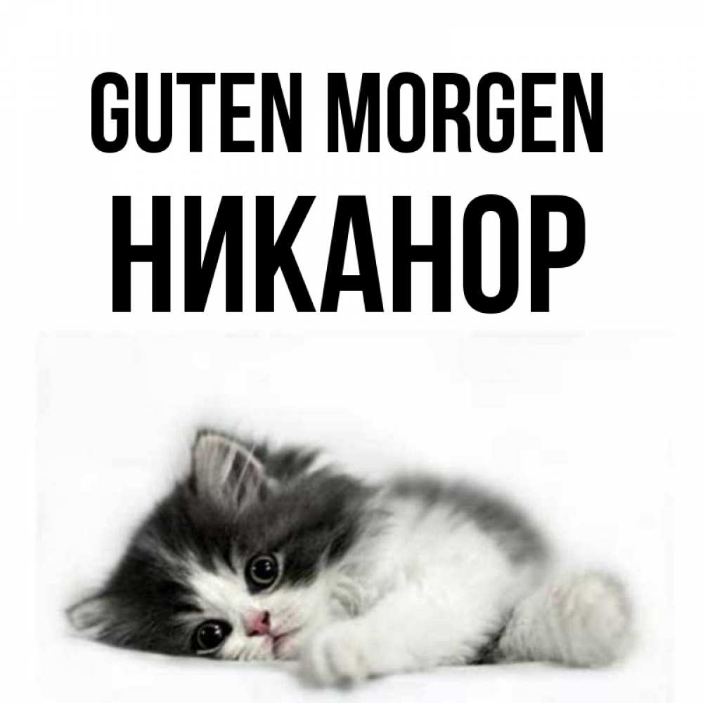 Открытка на каждый день с именем, Никанор Guten Morgen кот лапки Прикольная открытка с пожеланием онлайн скачать бесплатно 