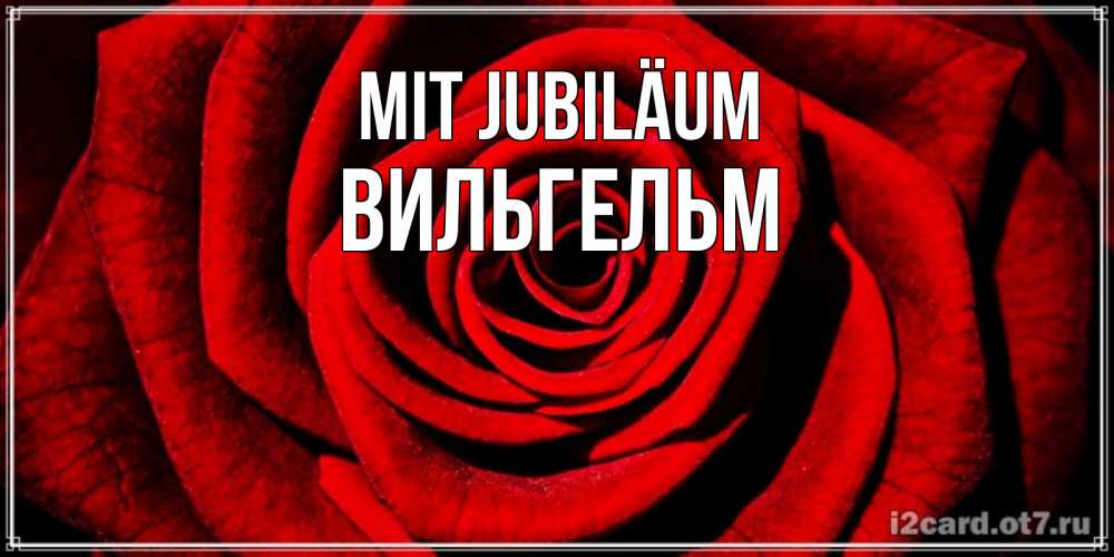 Открытка на каждый день с именем, Вильгельм Mit Jubiläum алая роза Прикольная открытка с пожеланием онлайн скачать бесплатно 