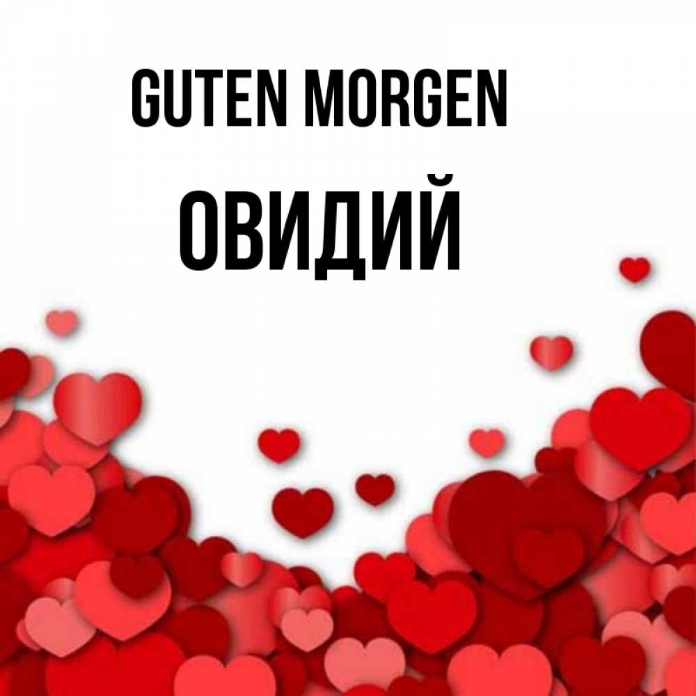 Открытка на каждый день с именем, Овидий Guten Morgen хорошего настроения Прикольная открытка с пожеланием онлайн скачать бесплатно 