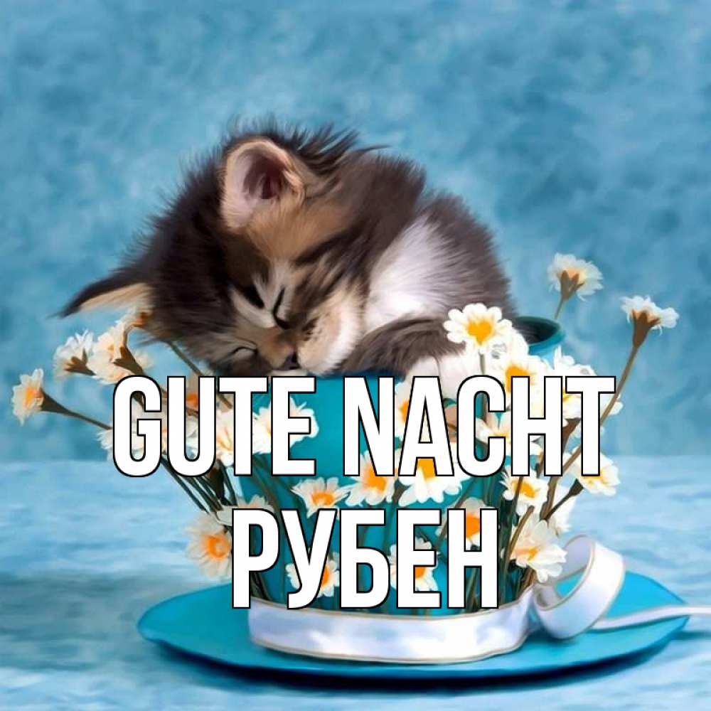 Открытка на каждый день с именем, Рубен Gute Nacht котенок спит в кружке с блюдцем Прикольная открытка с пожеланием онлайн скачать бесплатно 