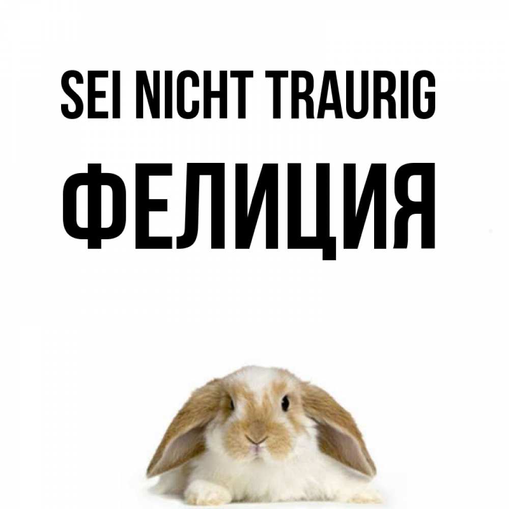 Открытка на каждый день с именем, Фелиция Sei nicht traurig коричнево белый заяц с большими ушками Прикольная открытка с пожеланием онлайн скачать бесплатно 