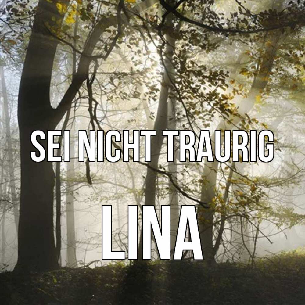 Открытка на каждый день с именем, Lina Sei nicht traurig лес и свет Прикольная открытка с пожеланием онлайн скачать бесплатно 