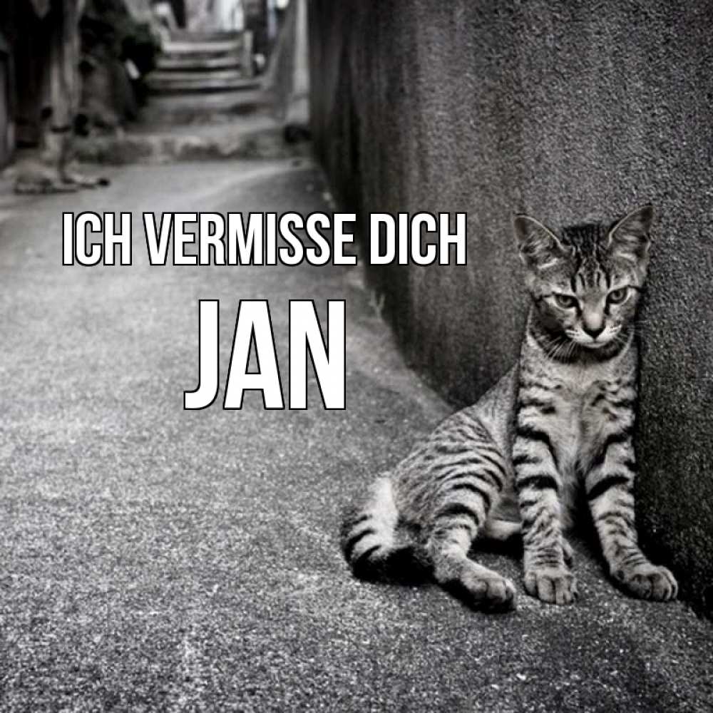 Открытка на каждый день с именем, Jan Ich vermisse dich одиноко котику Прикольная открытка с пожеланием онлайн скачать бесплатно 