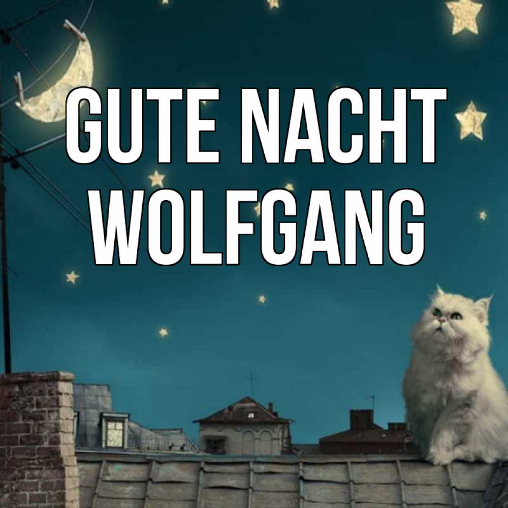 Открытка на каждый день с именем, Wolfgang Gute Nacht белый кот сидит на крыше Прикольная открытка с пожеланием онлайн скачать бесплатно 