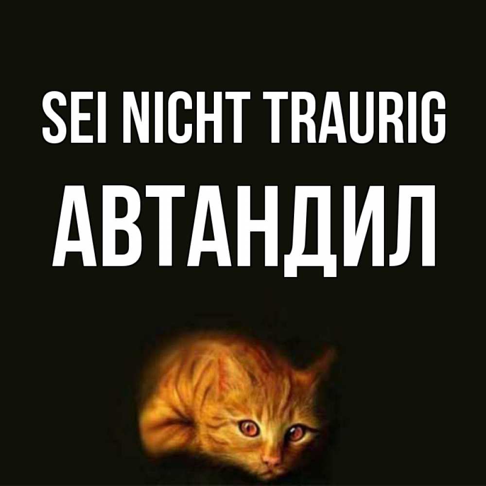 Открытка на каждый день с именем, Автандил Sei nicht traurig лежащий кот в темноте Прикольная открытка с пожеланием онлайн скачать бесплатно 