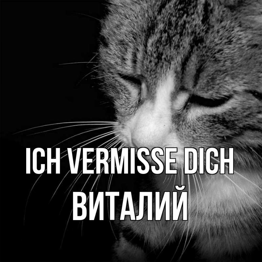 Открытка на каждый день с именем, Виталий Ich vermisse dich мне скучно Прикольная открытка с пожеланием онлайн скачать бесплатно 