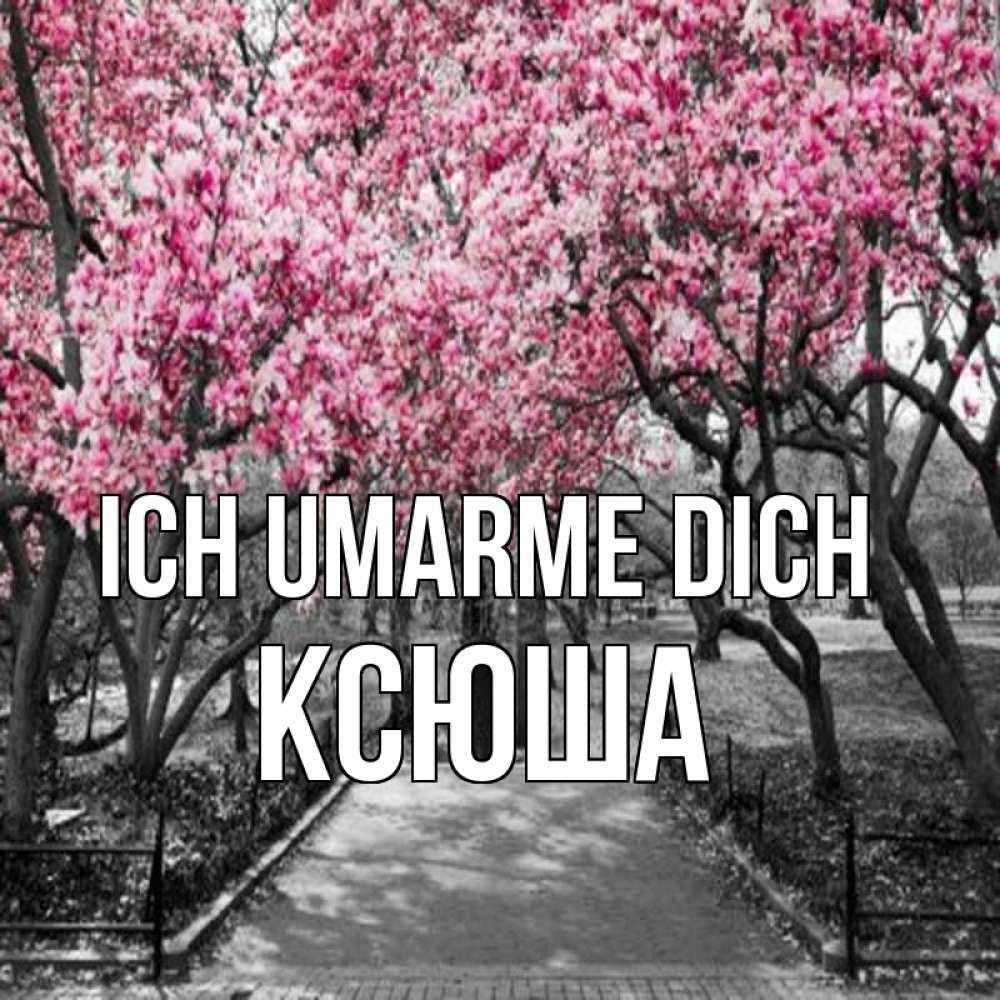 Открытка на каждый день с именем, Ксюша Ich umarme dich обработанное фото Прикольная открытка с пожеланием онлайн скачать бесплатно 